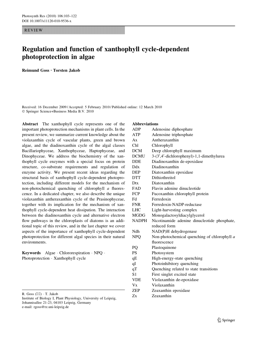 PDF) Regulation and function of xanthophyll cycle-dependent 