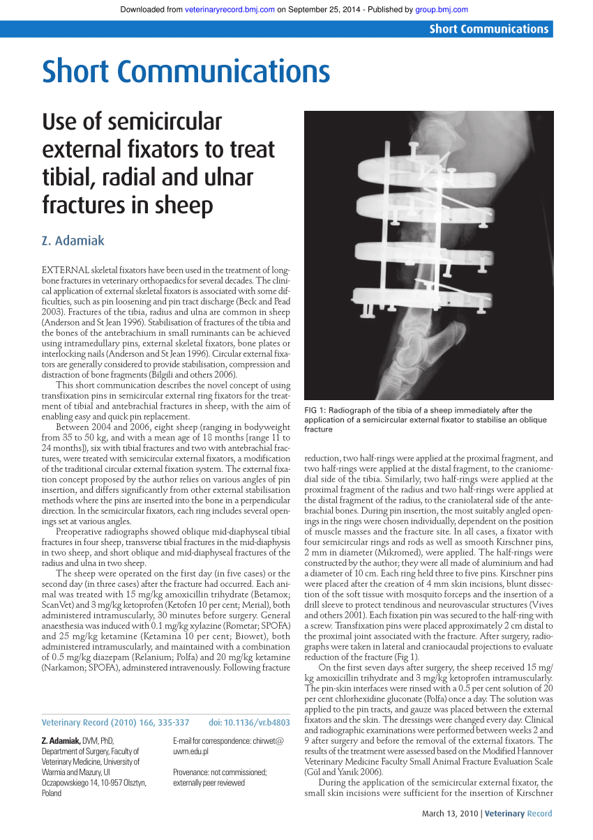 Thin shaft-rings from cattle-size tibia and metatarsus diaphyses