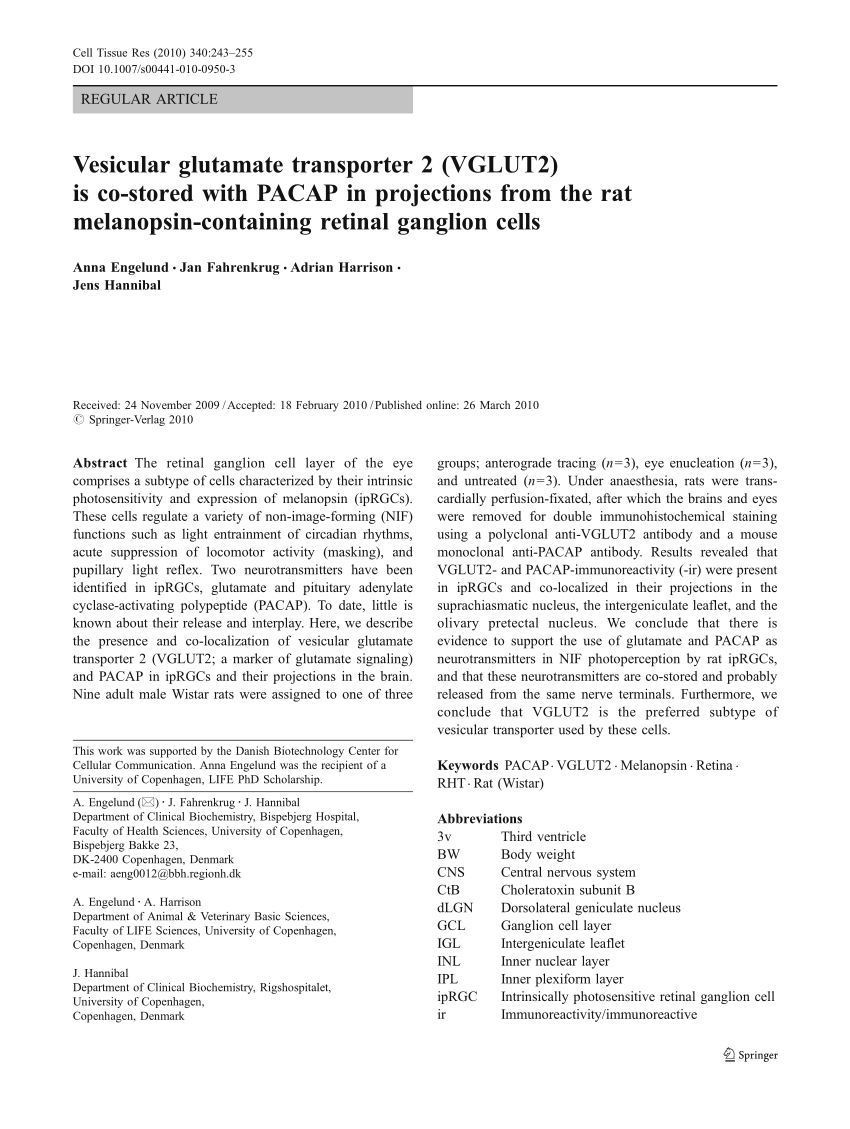 Vesicular glutamate transporter 2 (VGLUT2) is co-stored with PACAP in  projections from the rat melanopsin-containing retinal ganglion cells