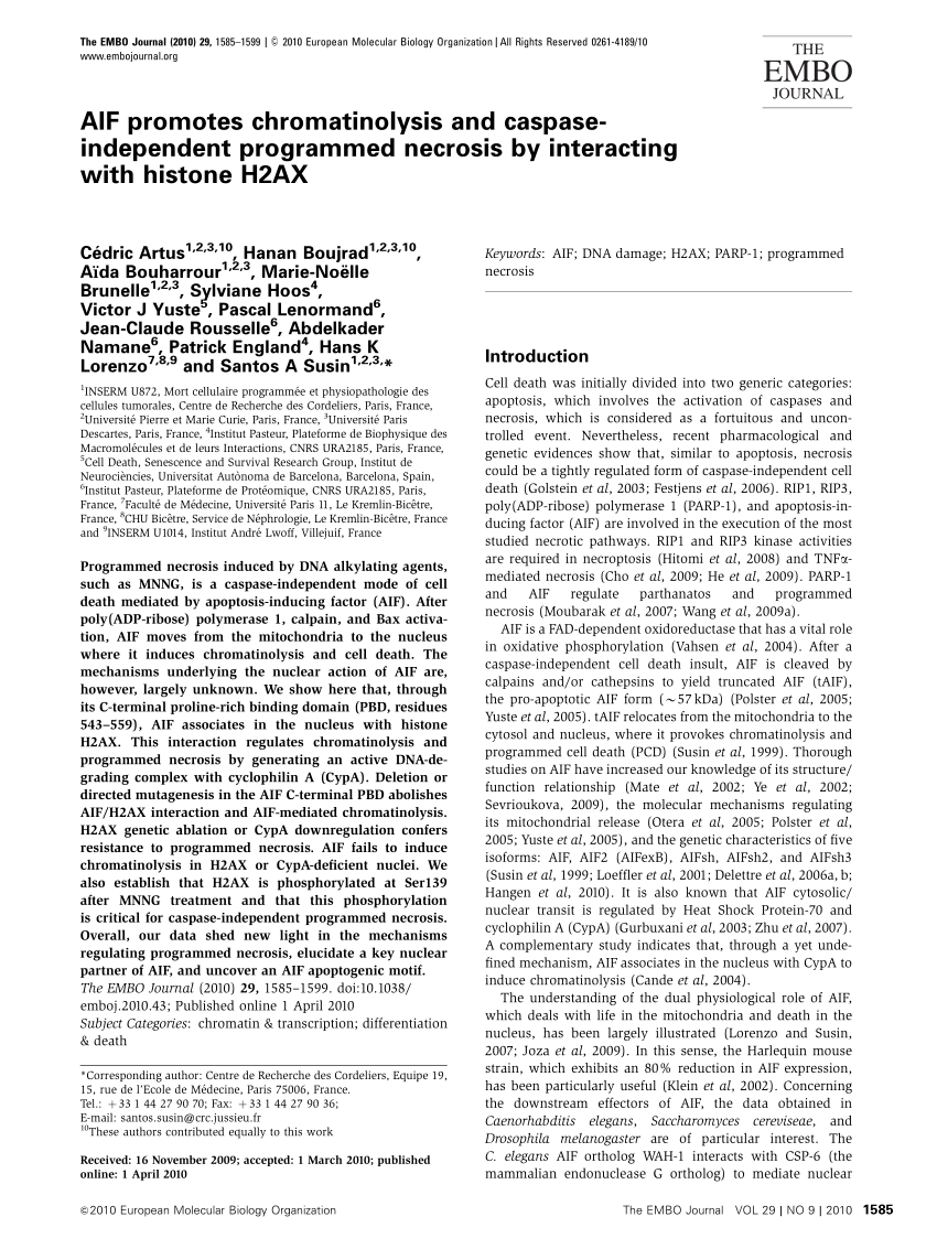 Reliable AIF Test Practice