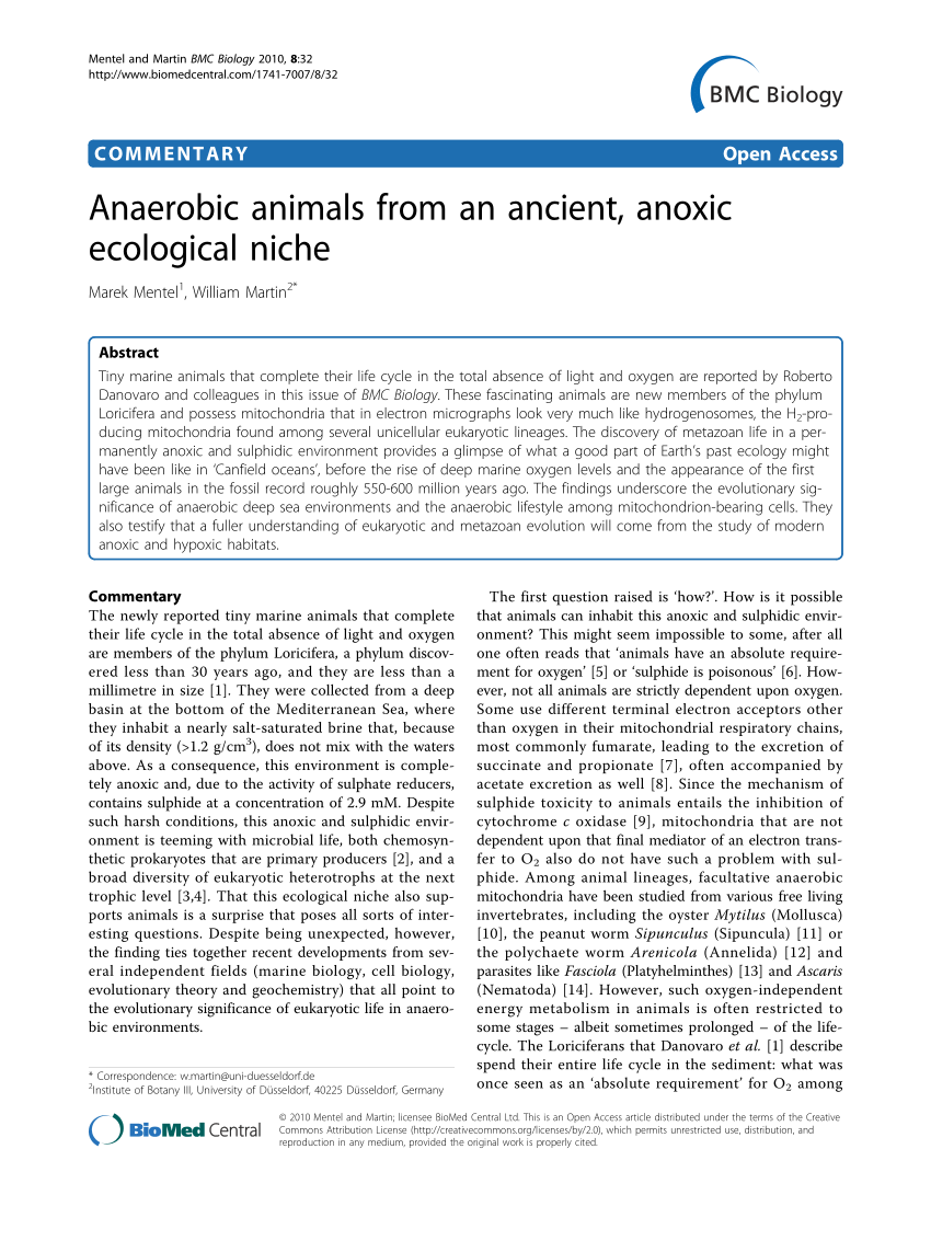 Pdf Anaerobic Animals From An Ancient Anoxic Ecological Niche - 