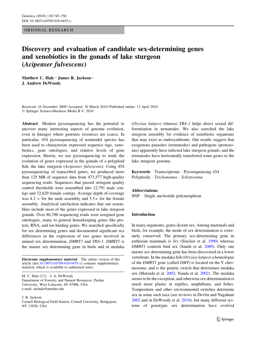 Pdf Discovery And Evaluation Of Candidate Sex Determining Genes And Xenobiotics In The Gonads 