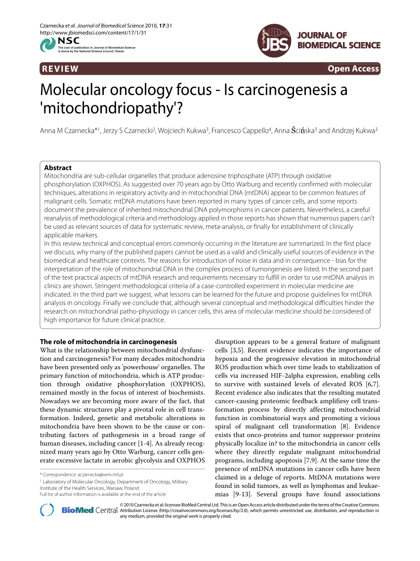 Pdf Molecular Oncology Focus Is Carcinogenesis A Mitochondriopathy