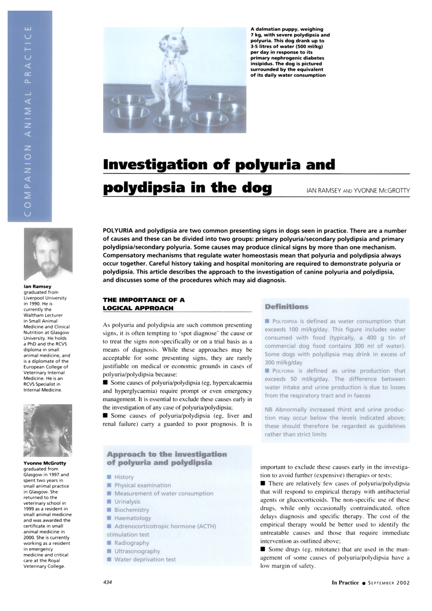 polyuria polyphagia polydipsia és megmagyarázhatatlan fogyás