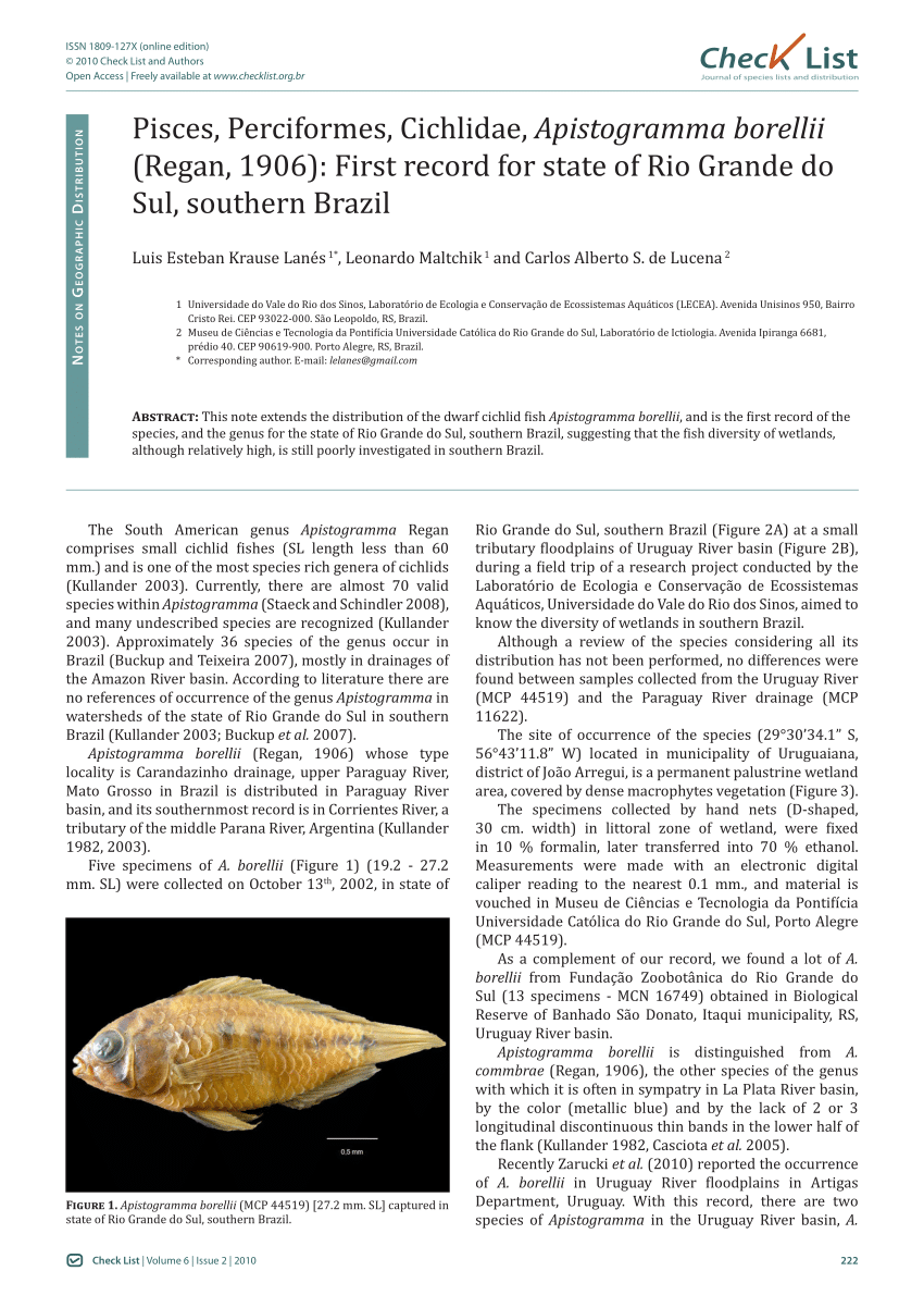 Pdf Pisces Perciformes Cichlidae Apistogramma Borellii Regan 1906 First Record For State Of Rio Grande Do Sul Southern Brazil