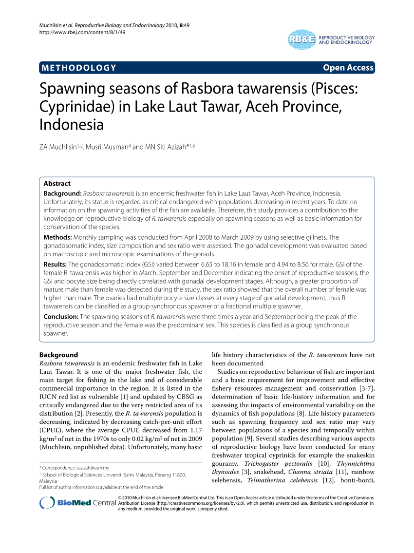 Pdf Spawning Seasons Of Rasbora Tawarensis Pisces Cyprinidae