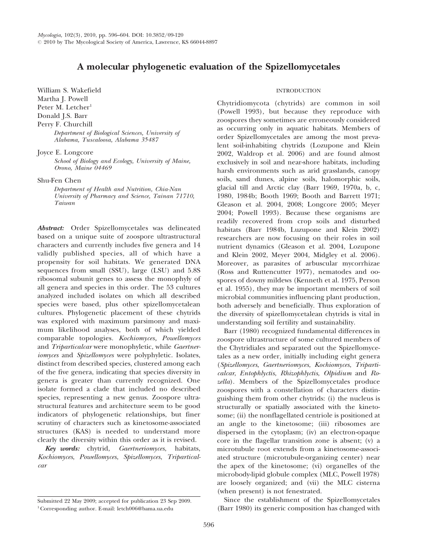 Pdf A Molecular Phylogenetic Evaluation Of The Spizellomycetales