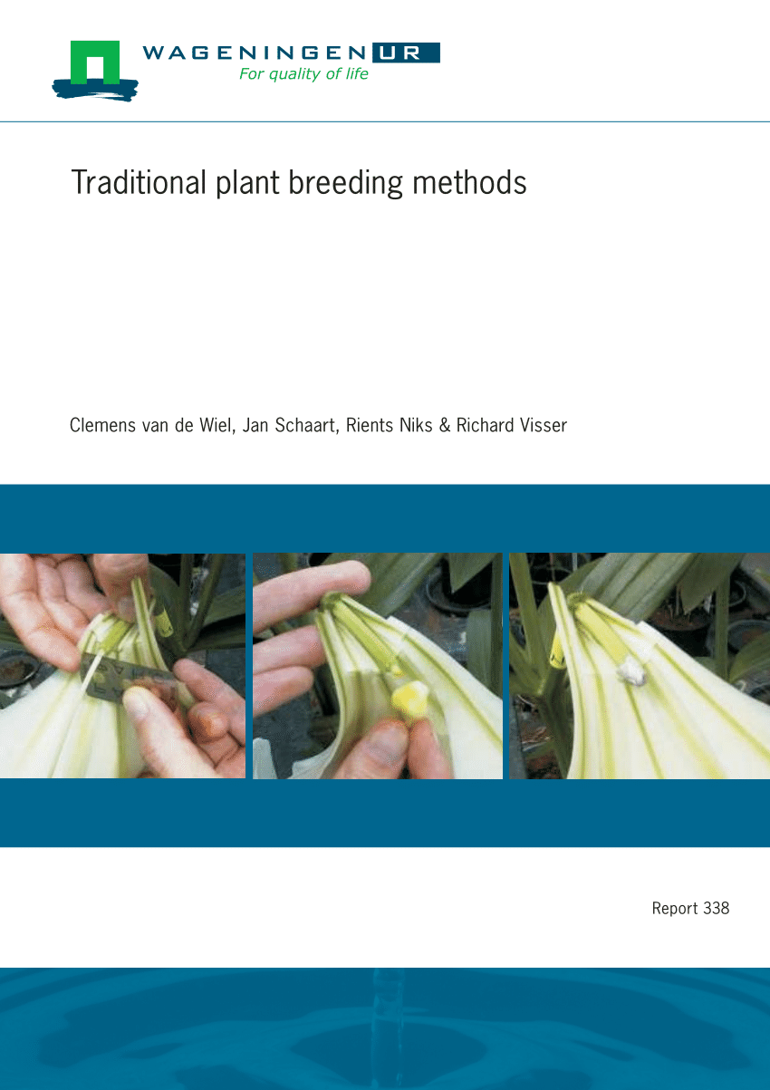 PDF) Traditional plant methods