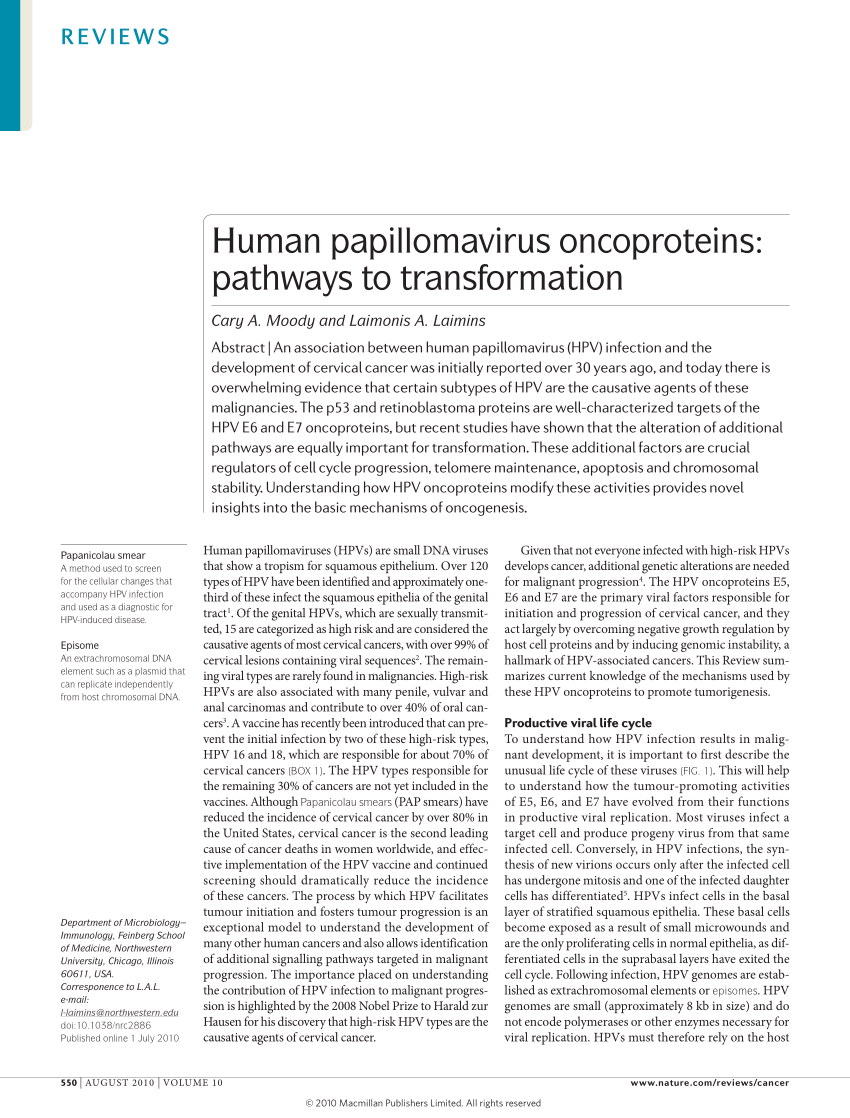 human papillomavirus oncoproteins pathways to transformation)