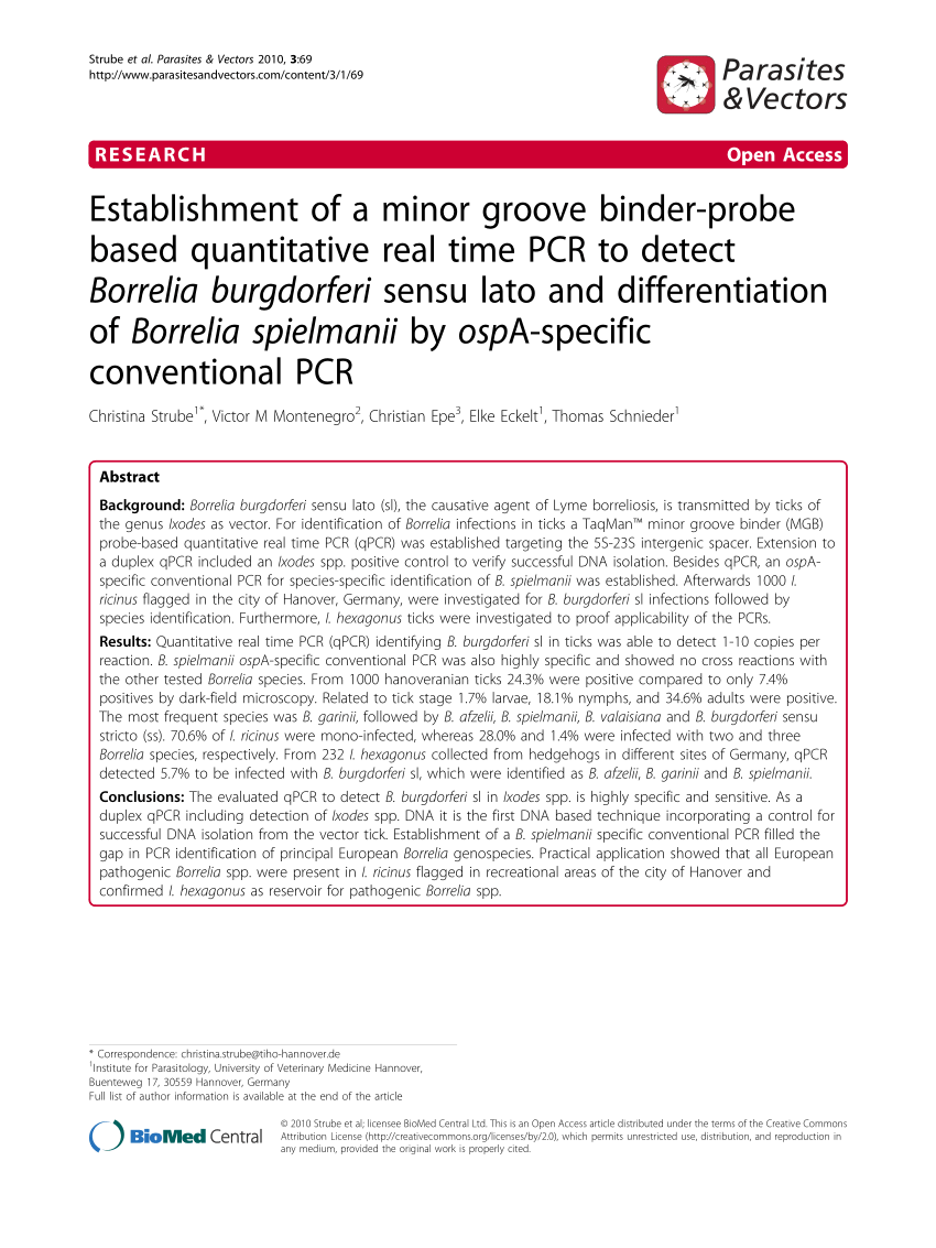 PDF) Establishment of a minor groove binder-probe based 