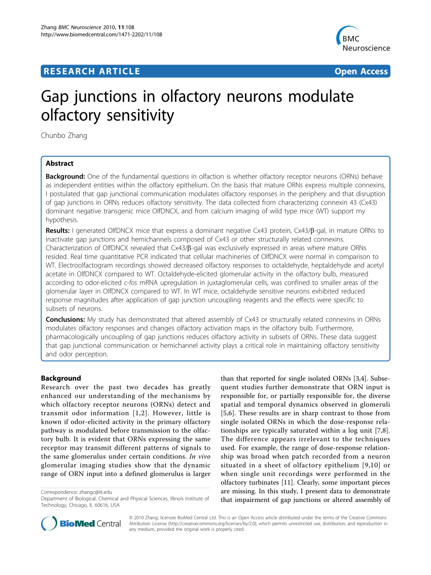 PDF) Gap junctions in olfactory neurons modulate olfactory sensitivity