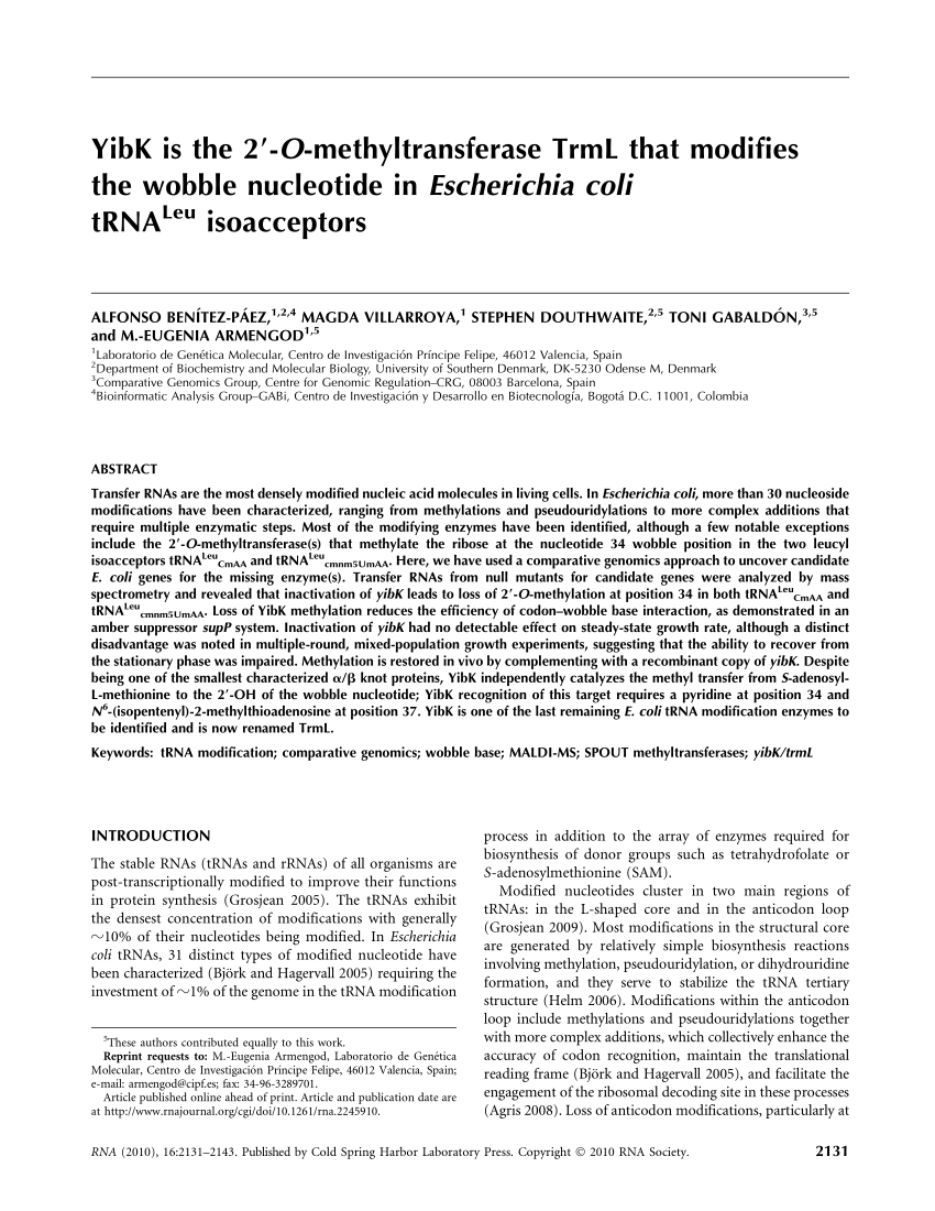 Pdf Yibk Is The 2 O Methyltransferase Trml That Modifies The Images, Photos, Reviews