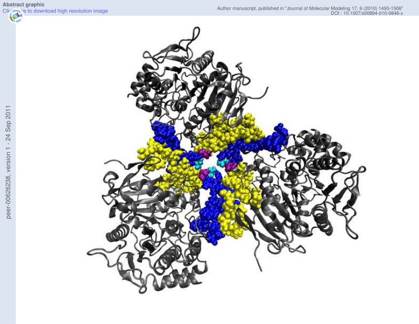 (PDF) Simulation on the structure of pig liver esterase