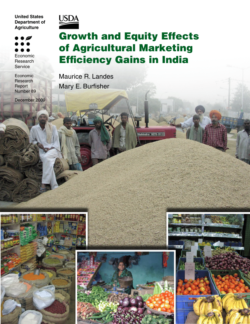 research paper on agricultural marketing in india
