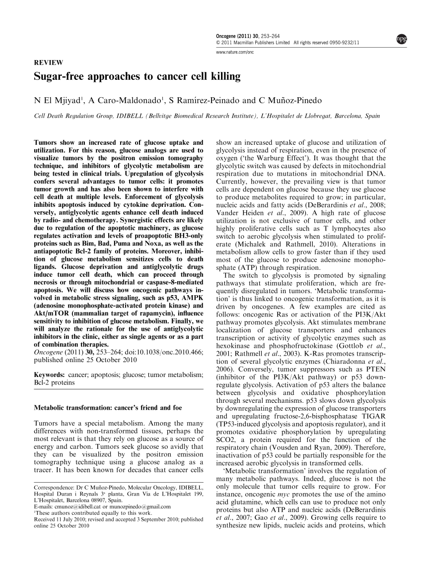 Regulation of the mitochondrial apoptotic pathway by inhibition of... |  Download Scientific Diagram