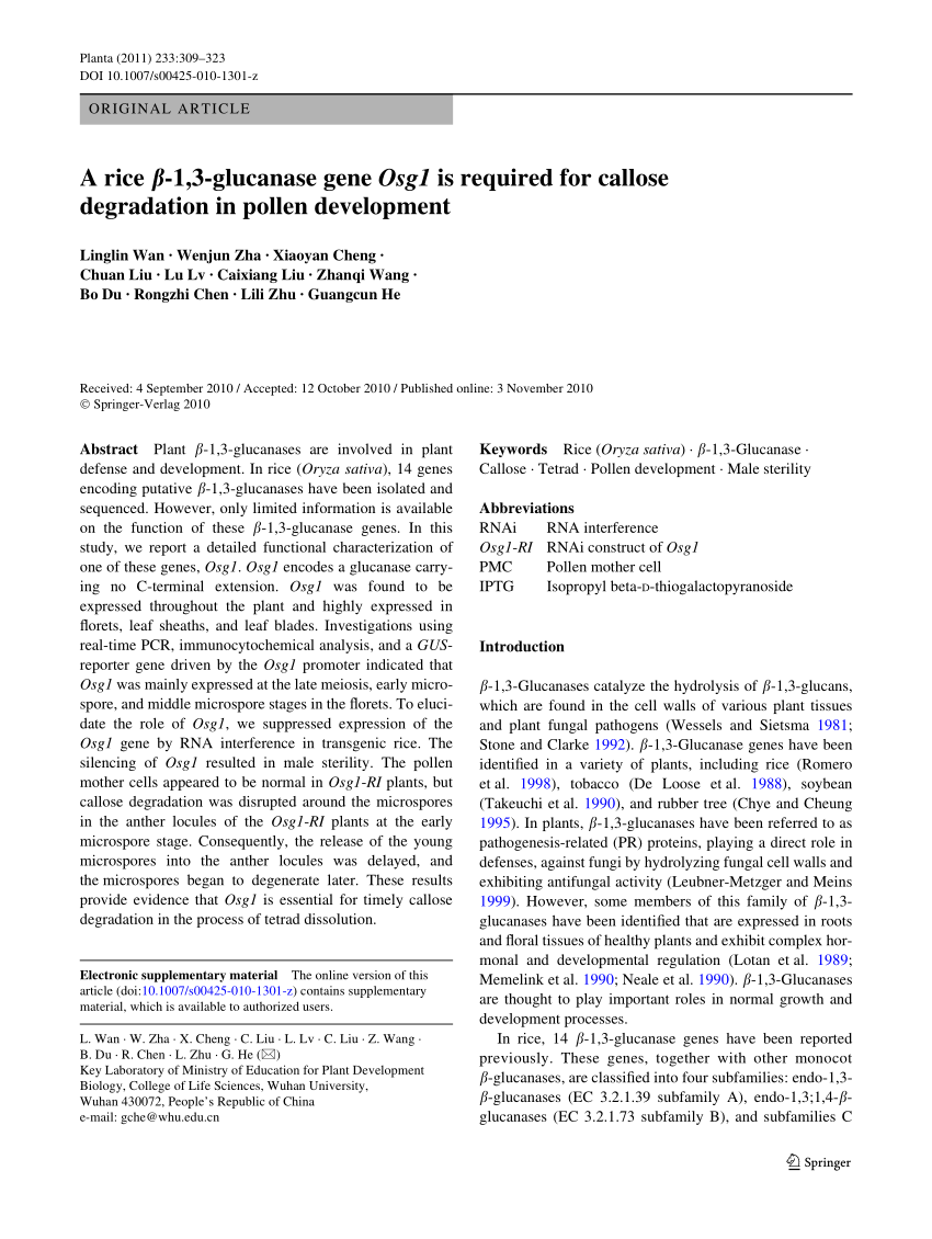Pdf A Rice B 1 3 Glucanase Gene Osg1 Is Required For Callose Degradation In Pollen Development