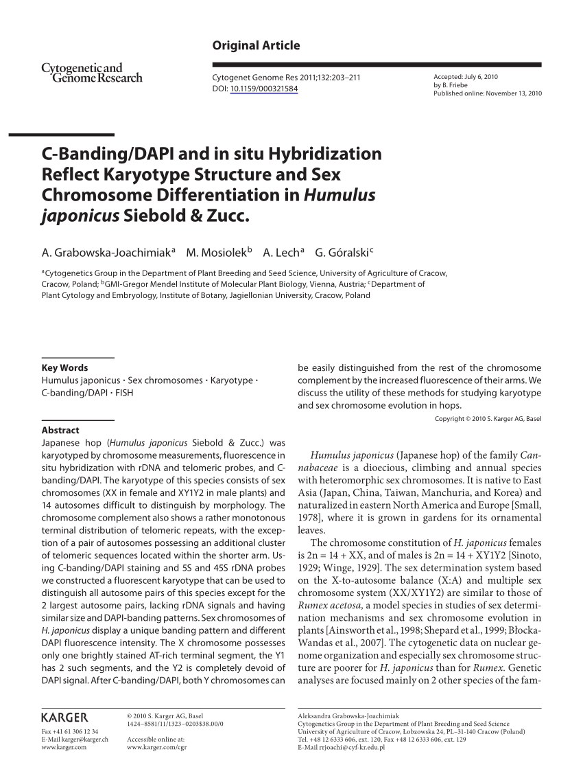 PDF C Banding DAPI and in situ Hybridization Reflect Karyotype  