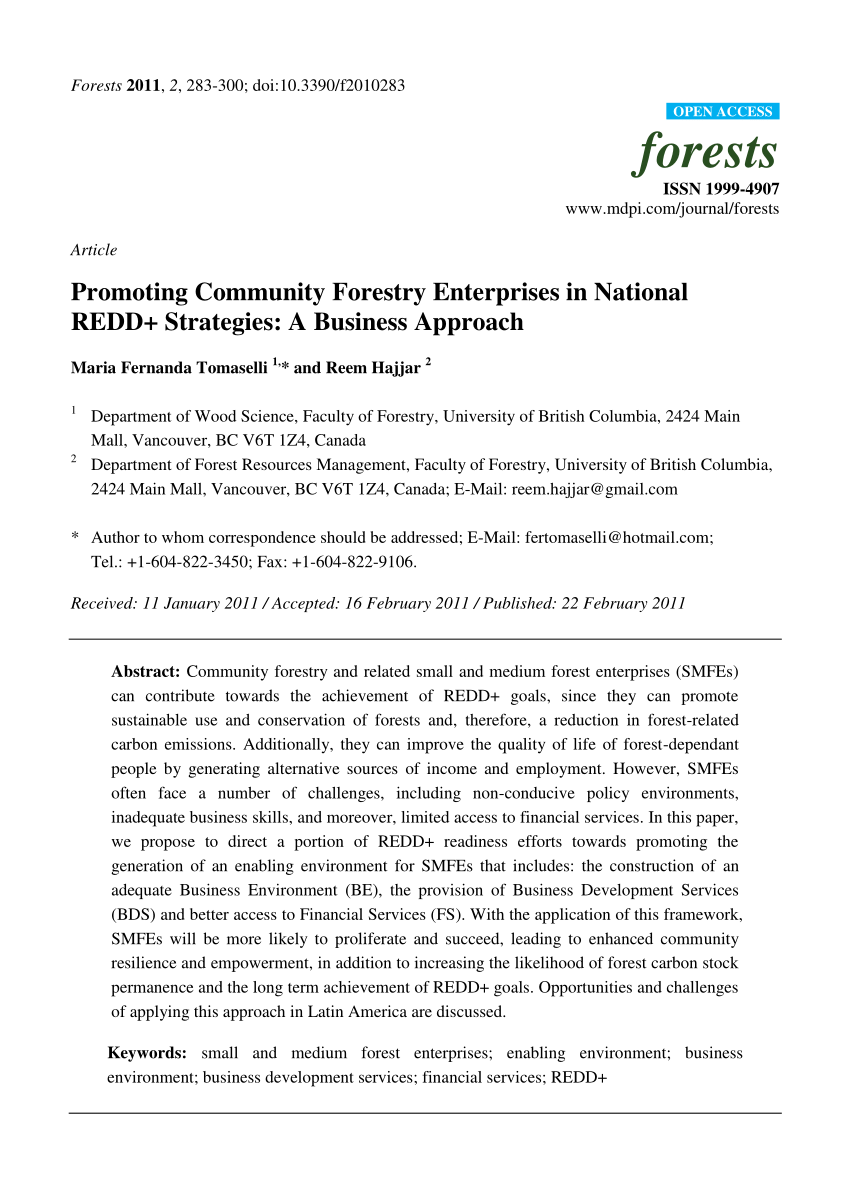 PDF) Promoting Community Forestry Enterprises in National REDD+ Strategies:  A Business Approach