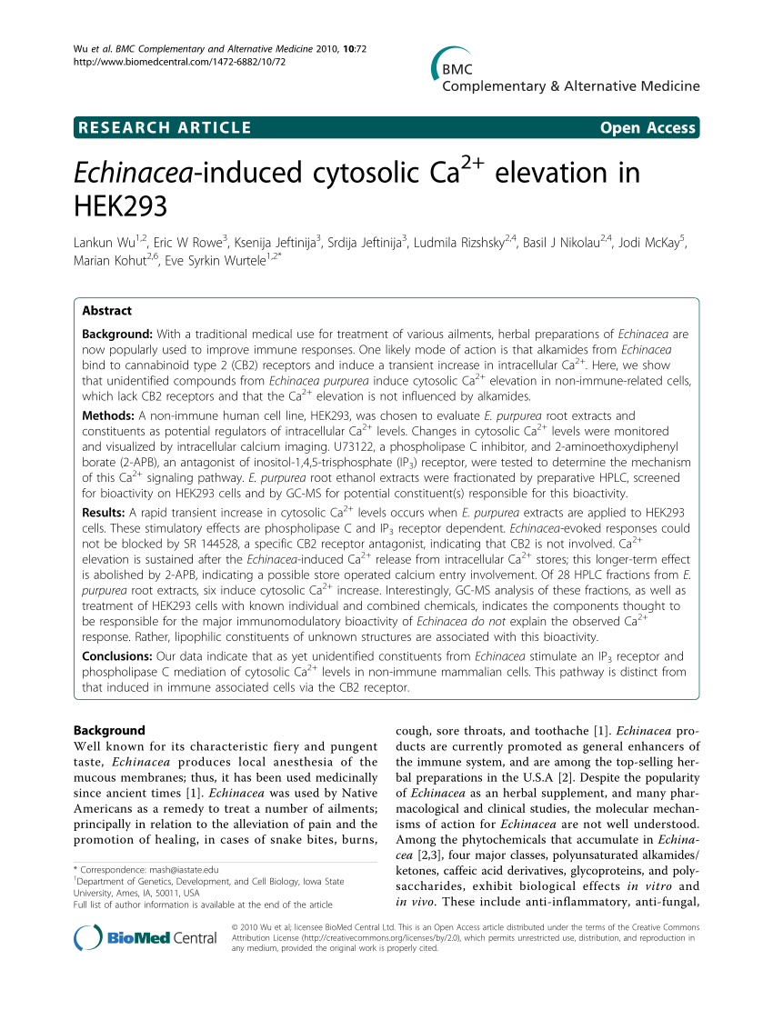 PDF Echinacea induced cytosolic Caelevation in HEK293