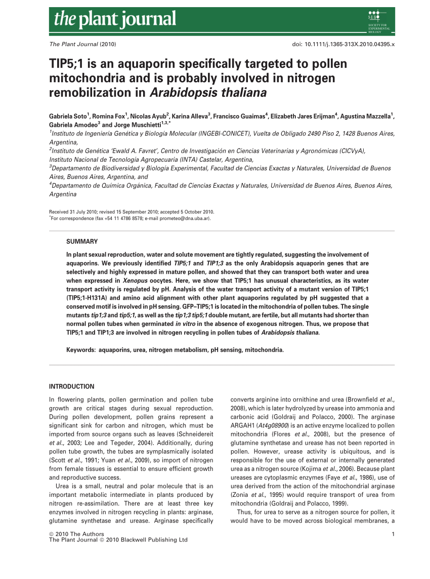 Pdf Tip5 1 Is An Aquaporin Specifically Targeted To Pollen Mitochondria And Is Probably Involved In Nitrogen Remobilization In Arabidopsis Thaliana