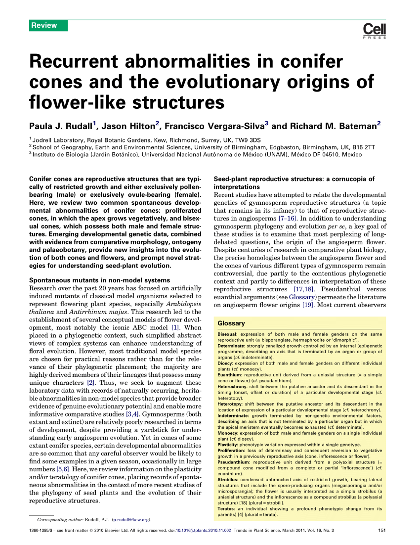 Pdf Recurrent Abnormalities In Conifer Cones And The Evolutionary Origins Of Flower Like Structures