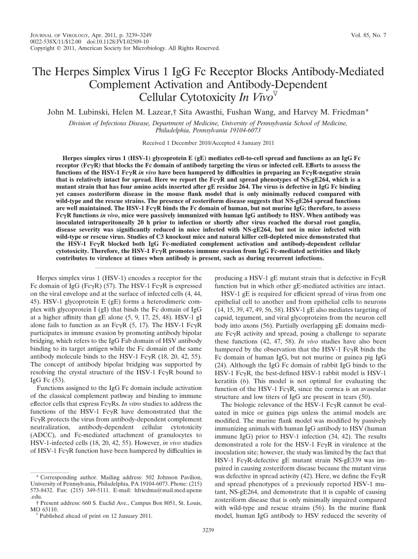 Pdf The Herpes Simplex Virus 1 Igg Fc Receptor Blocks Antibody Mediated Complement Activation And Antibody Dependent Cellular Cytotoxicity In Vivo