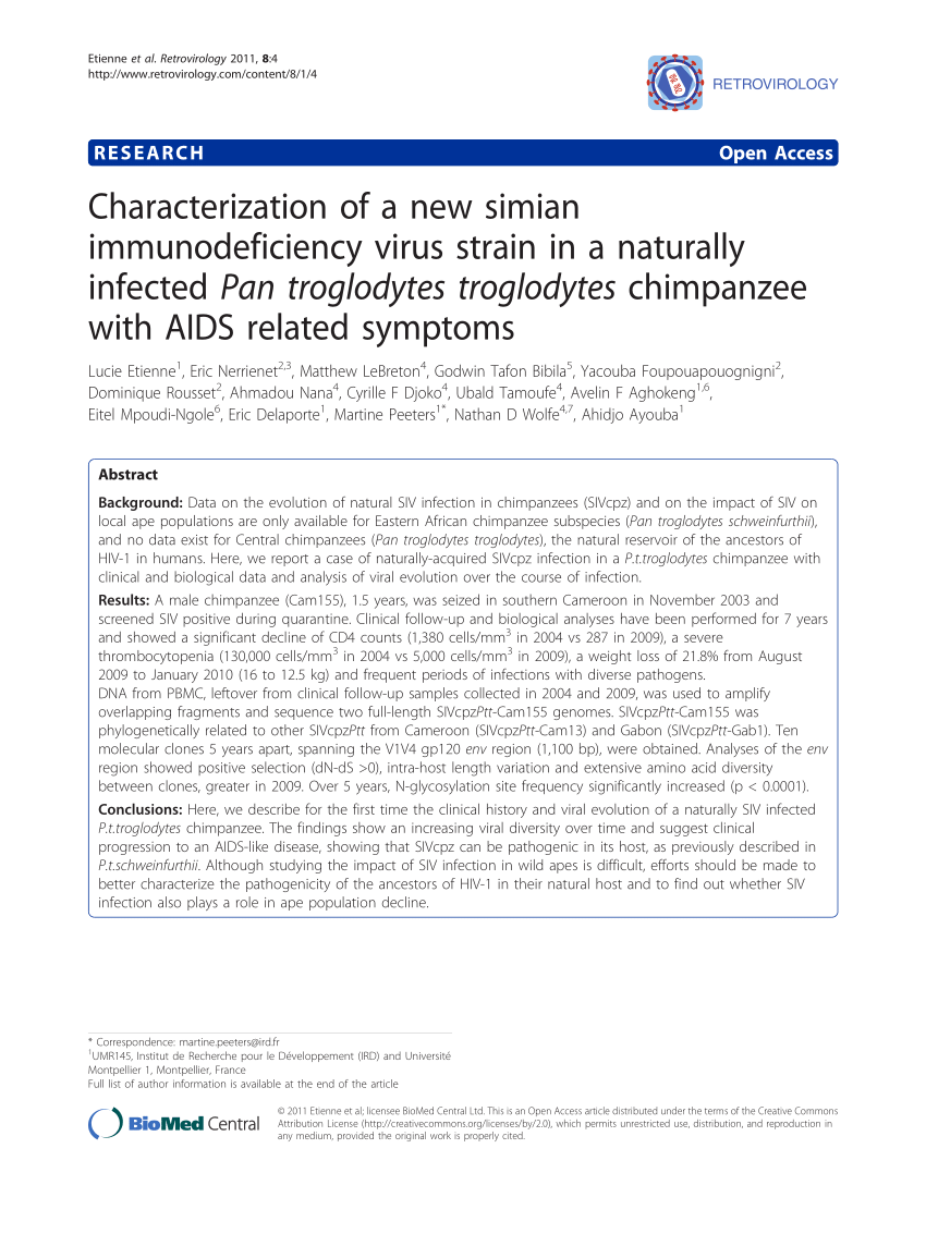 (PDF) Characterization of a new Simian Immunodeficiency Virus strain in