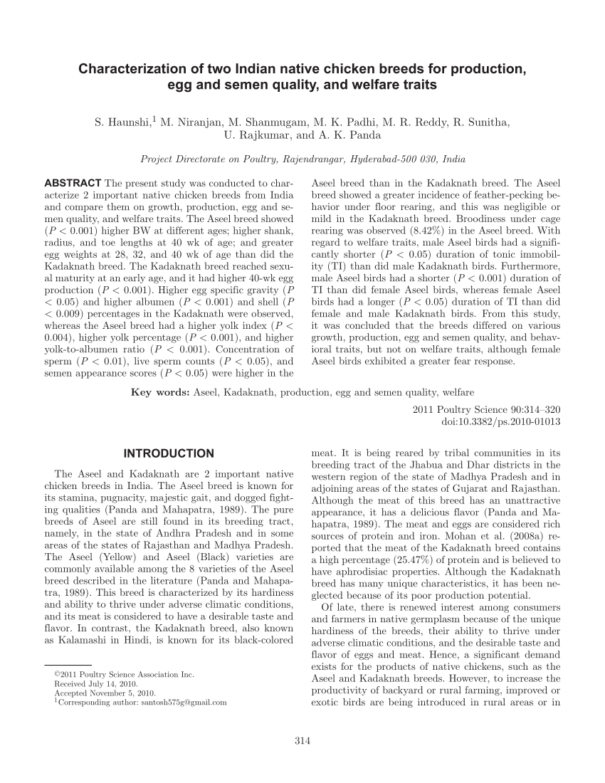 research study about native chicken