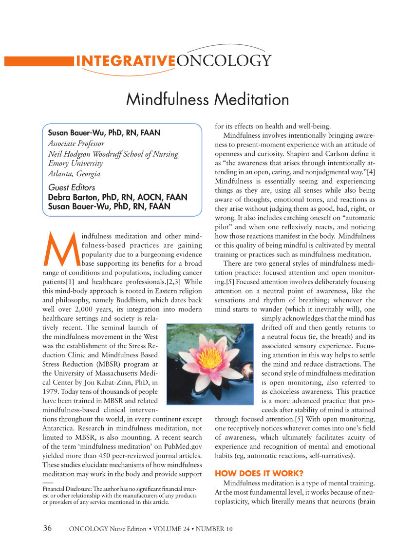 Mindfulness Meditation Research Paper