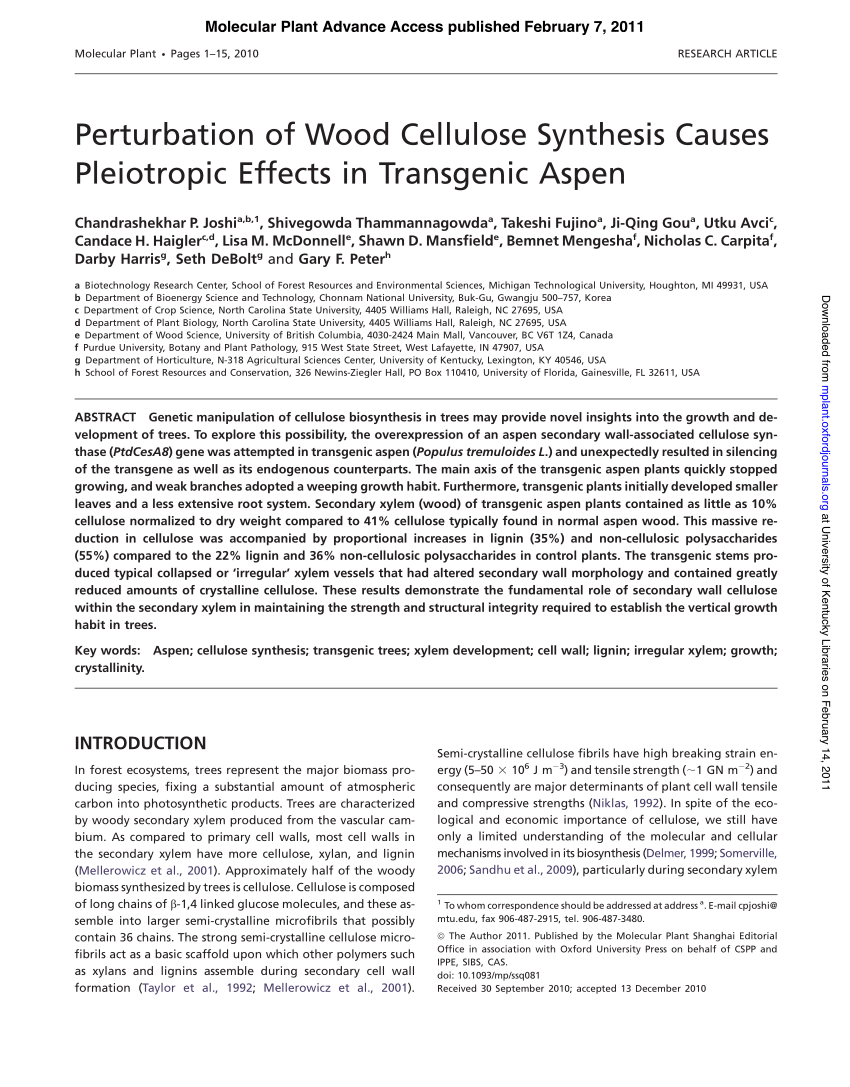 Pdf Perturbation Of Wood Cellulose Synthesis Causes