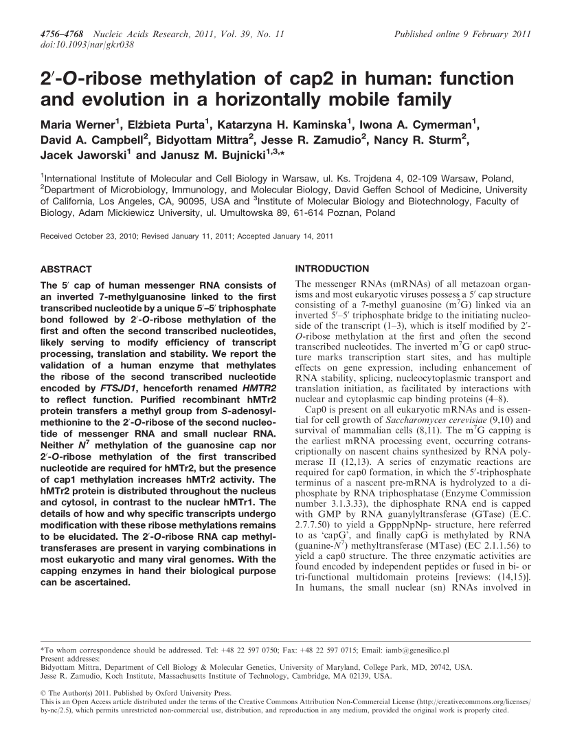 PDF) 2′-O-ribose methylation of cap2 in human: Function and