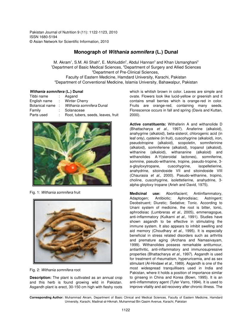 Winter Cherry Plant Information