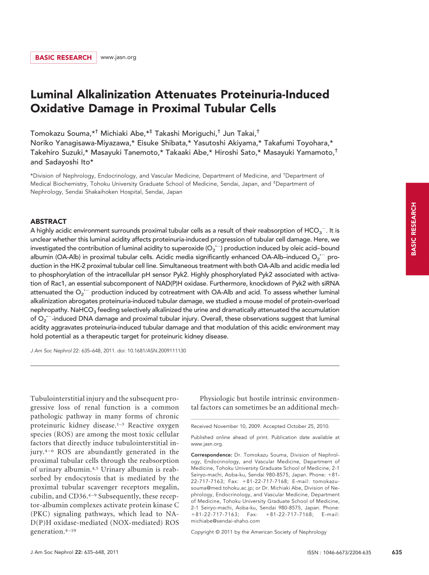 PDF) Luminal Alkalinization Attenuates Proteinuria-Induced ...
