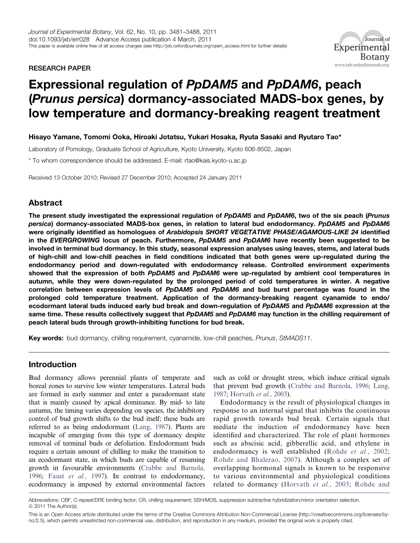 Pdf Expressional Regulation Of Ppdam5 And Ppdam6 Peach Prunus Persica Dormancy Associated Mads Box Genes By Low Temperature And Dormancy Breaking Reagent Treatment