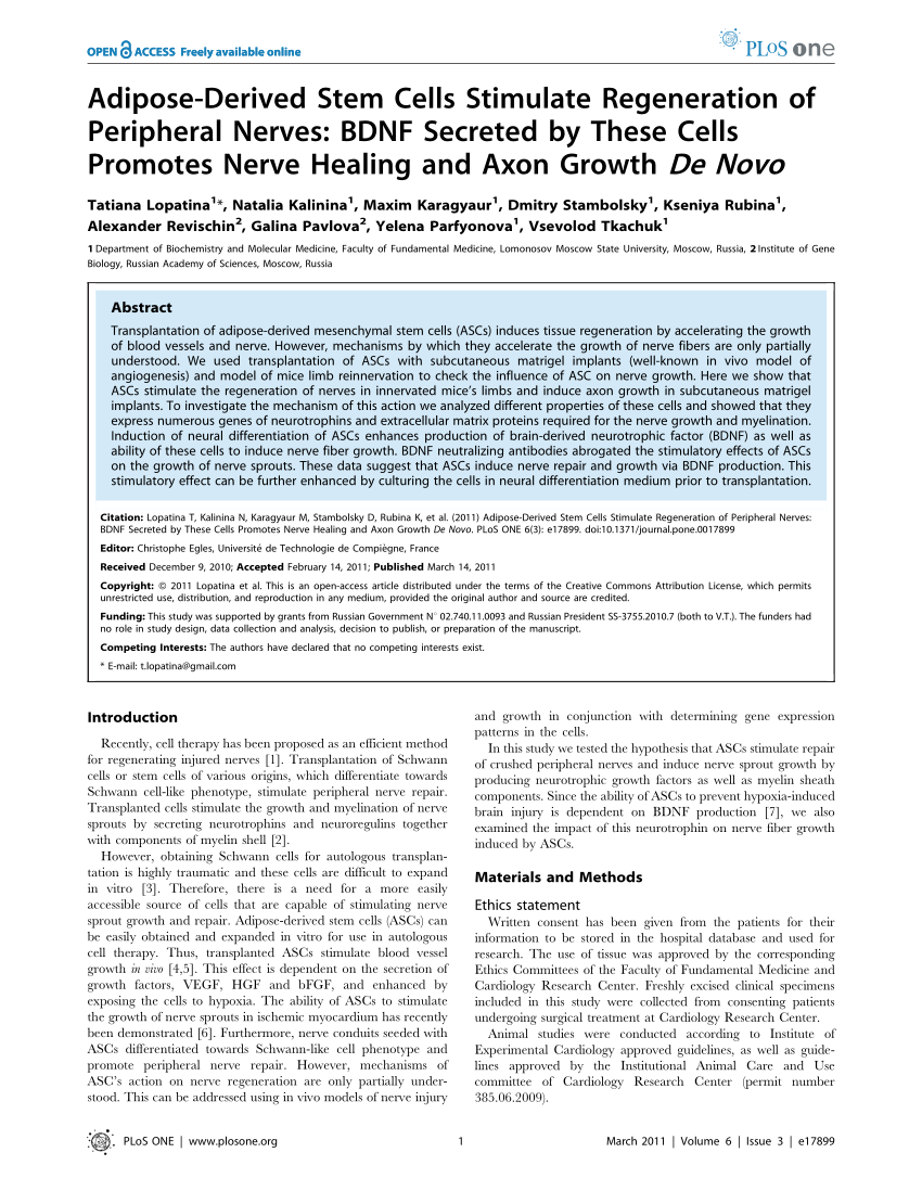 Pdf Adipose Derived Stem Cells Stimulate Regeneration Of Peripheral Nerves Bdnf Secreted By 4040