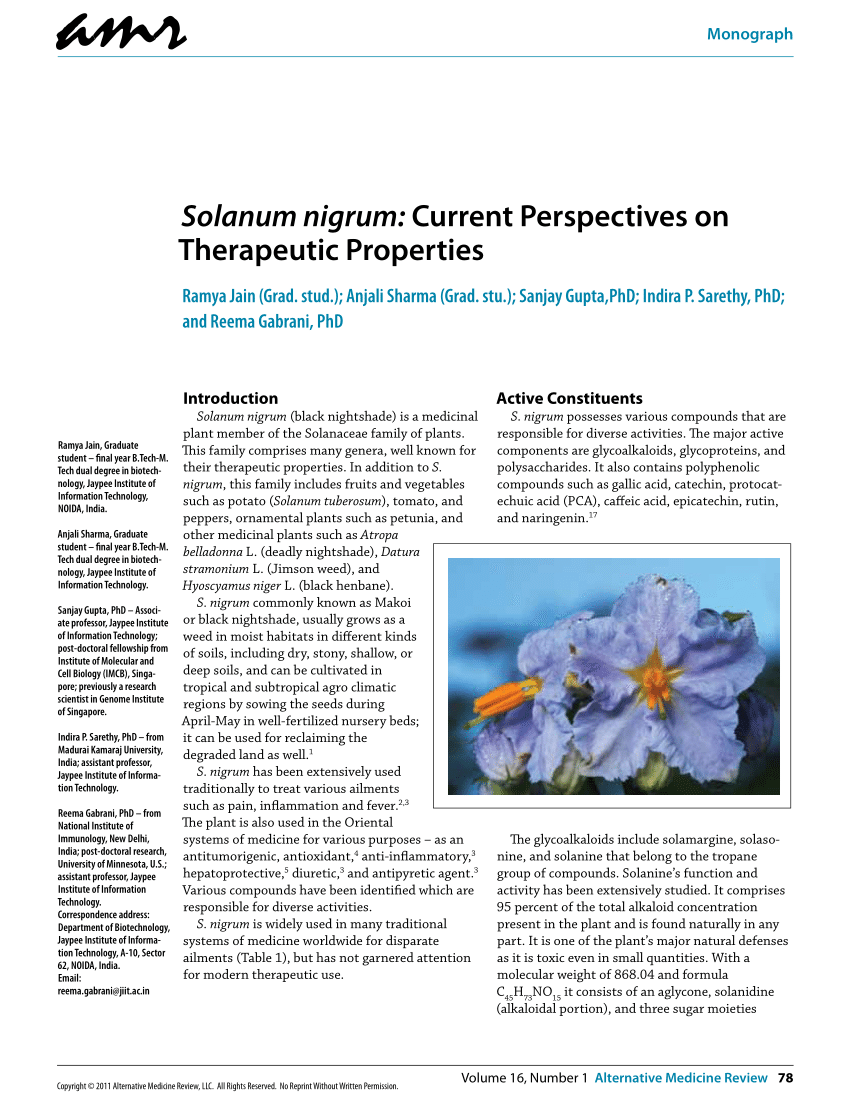 research paper on solanum nigrum