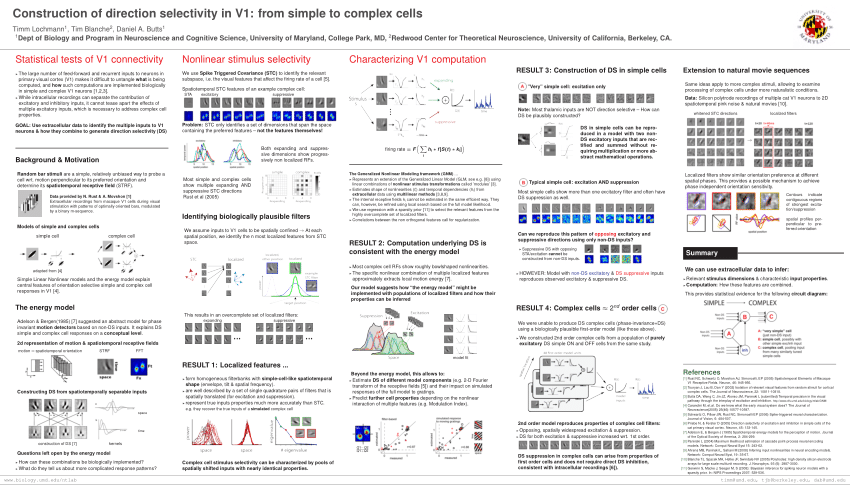 Pdf Construction Of Direction Selectivity In V1 From Simple To