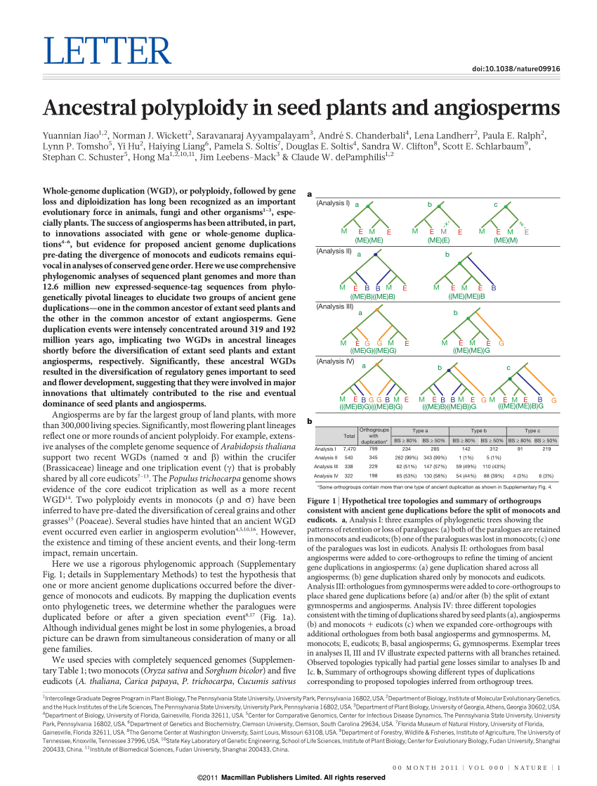 Pdf Ancestral Polyploidy In Seed Plants And Angiosperms