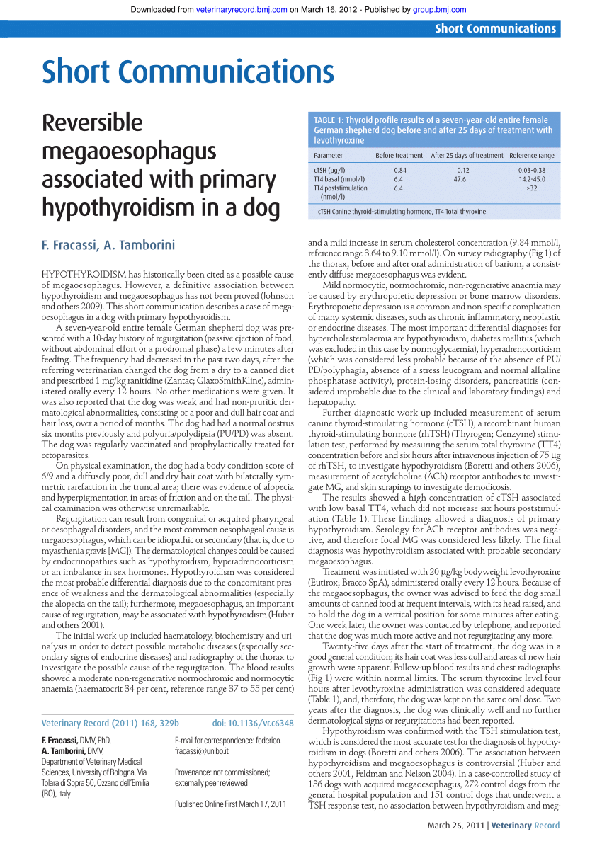 Pdf Reversible Megaoesophagus Associated With Primary Hypothyroidism In A Dog