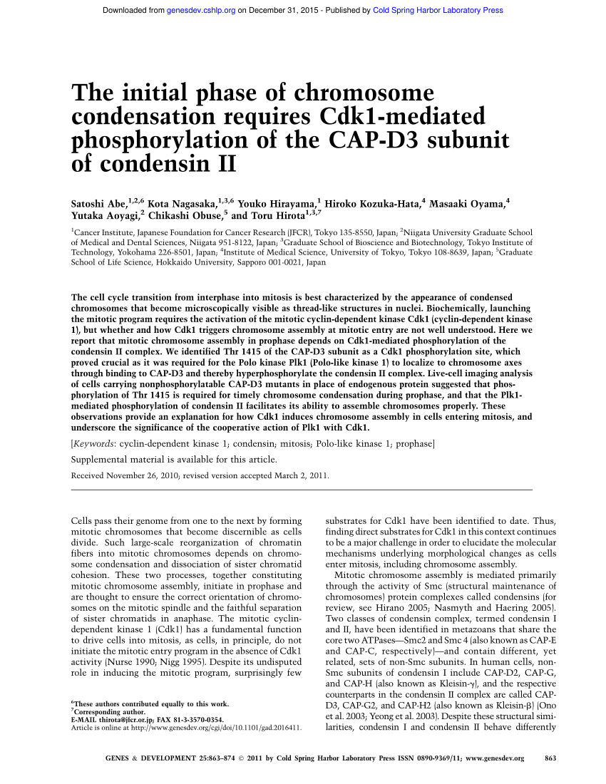 Pdf The Initial Phase Of Chromosome Condensation Requires Cdk1