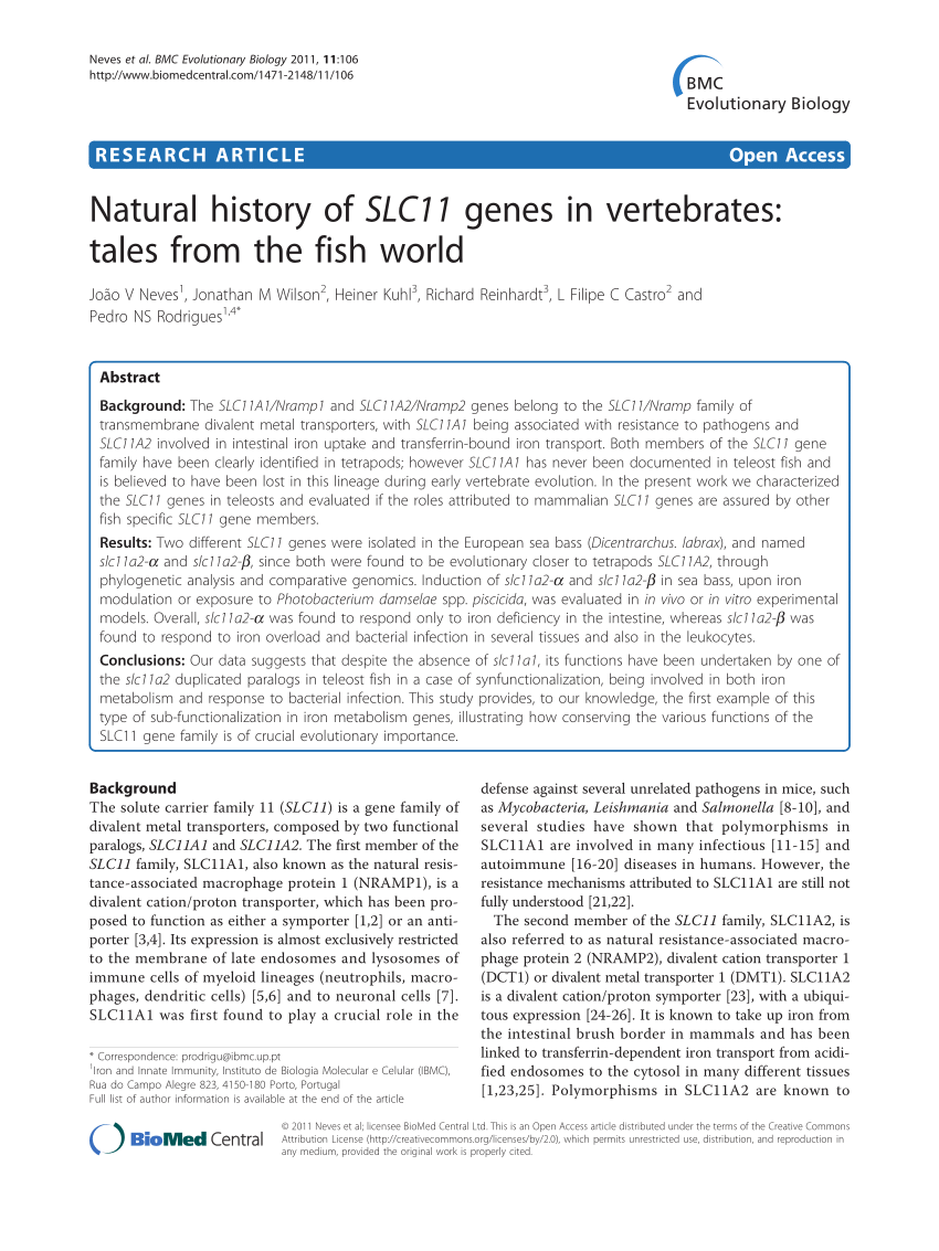 PDF) Natural history of SLC11 genes in vertebrates: Tales from the 
