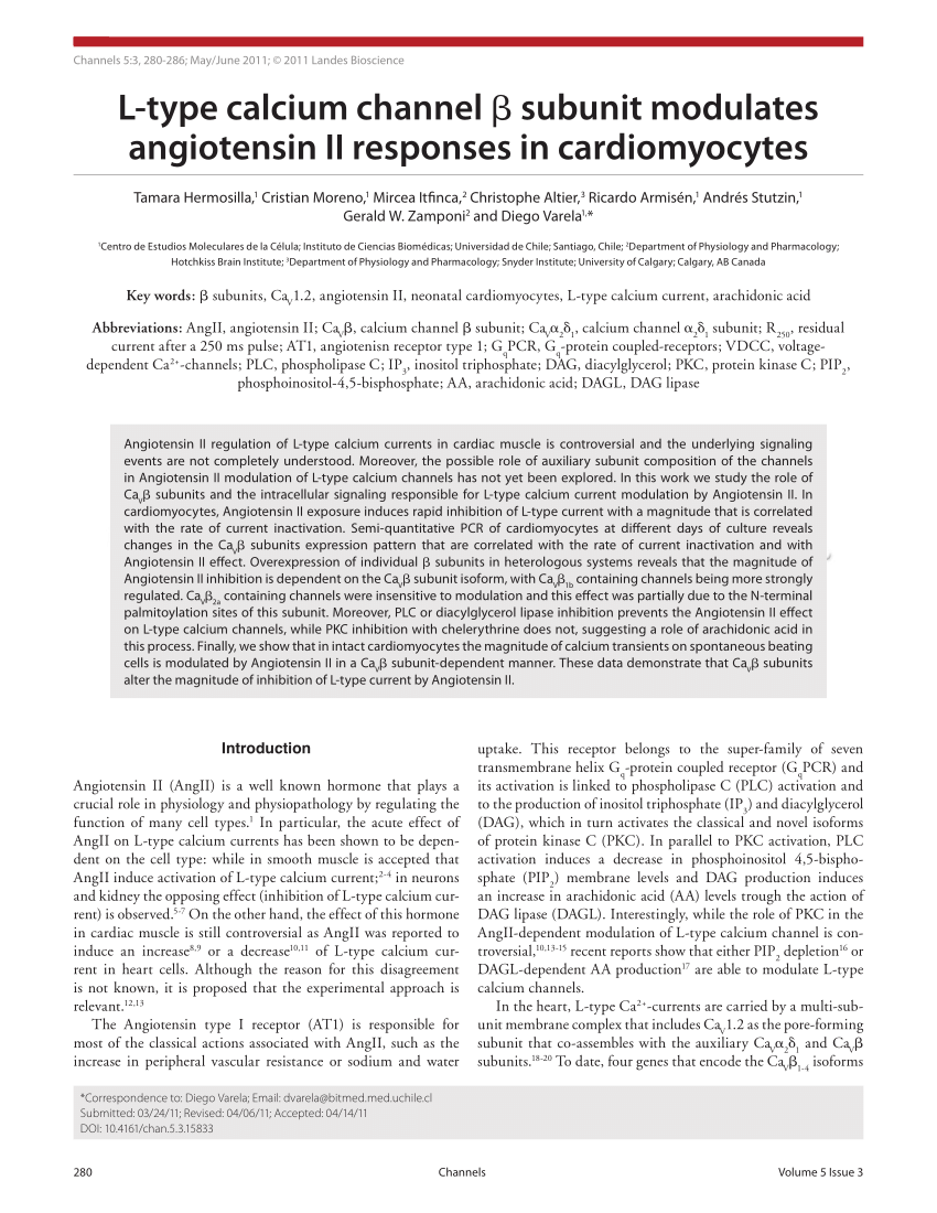 Pdf L Type Calcium Channel B Subunit Modulates Angiotensin Ii Responses In Cardiomyocytes