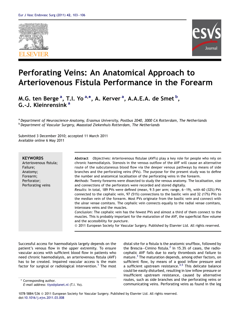 Pdf Perforating Veins An Anatomical Approach To Arteriovenous Fistula Performance In The Forearm