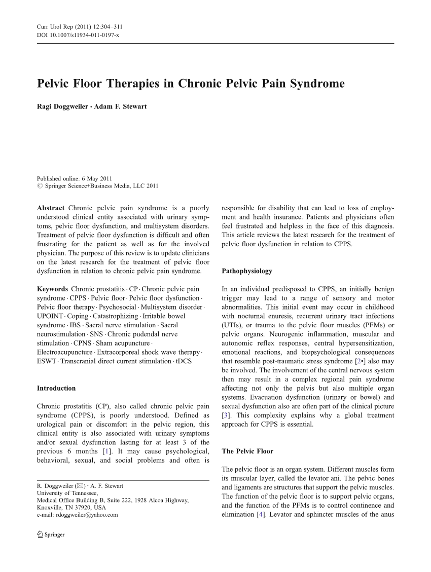 Pdf Pelvic Floor Therapies In Chronic Pelvic Pain Syndrome