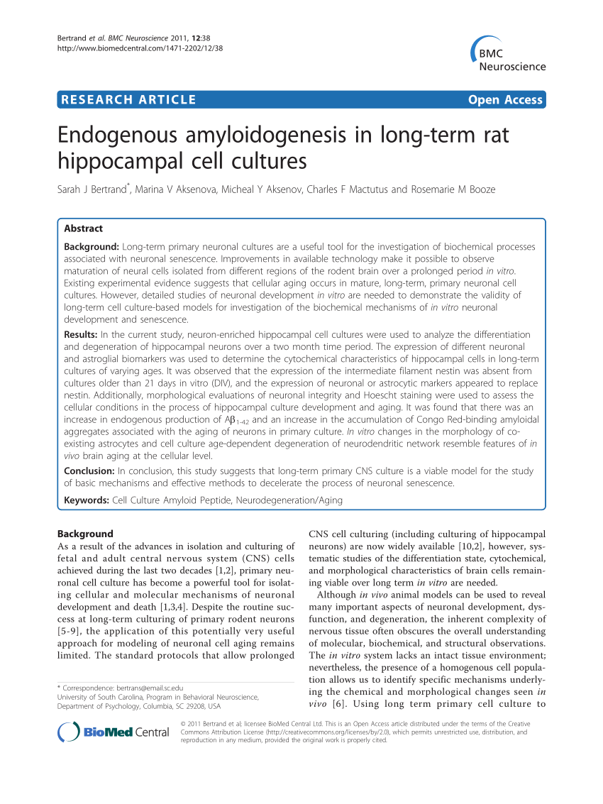 PDF) Endogenous amyloidogenesis in long-term rat hippocampal cell ...