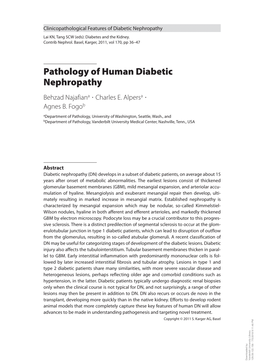 literature review on diabetic nephropathy