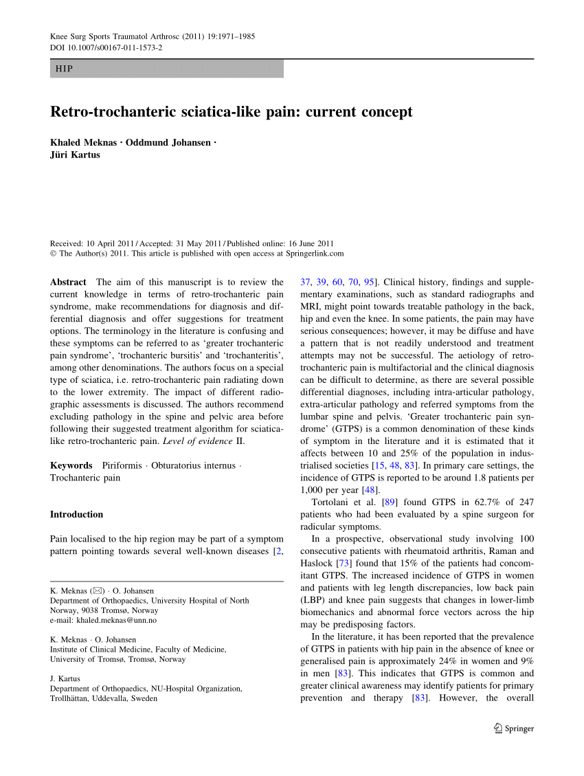 High Division Of The Sciatic Nerve And The Infrapiriforme Foramen