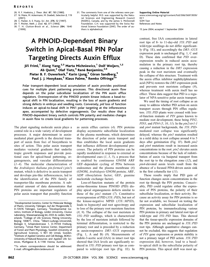 Pdf A Pinoid Dependent Binary Switch In Apical Basal Pin Polar Targeting Directs Auxin Efflux