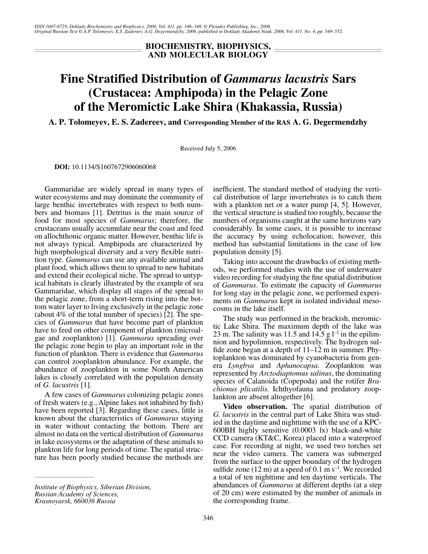 Pdf Fine Stratified Distribution Of Gammarus Lacustris Sars Crustacea Amphipoda In The Pelagic Zone Of The Meromictic Lake Shira Khakassia Russia