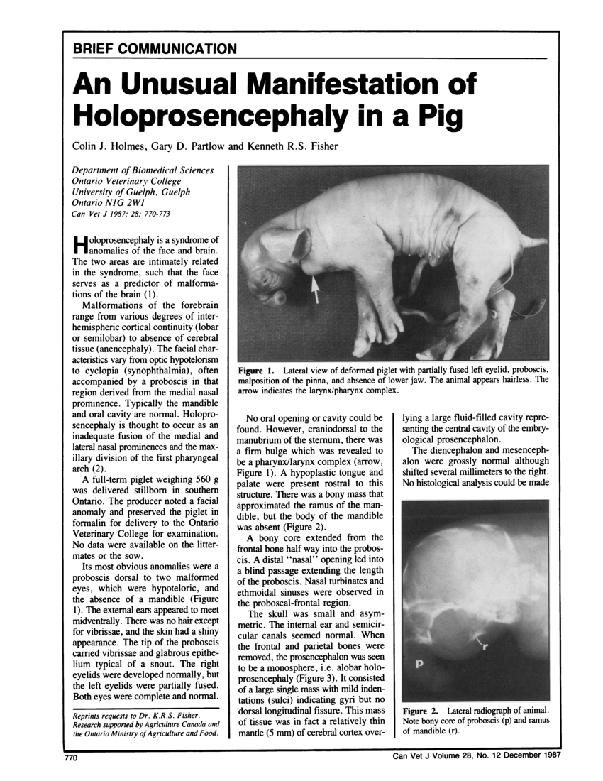 holoprosencephaly in animals